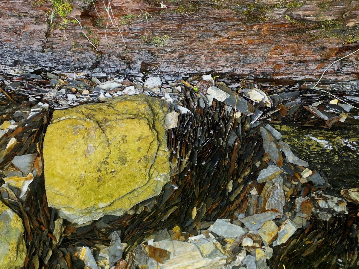 The Most Common IRS Letter and What to do when you get one STG Tax LLC